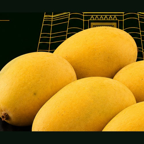Chaunsa vs Alphonso — Pakistan's vs India's Flagship Mangoes