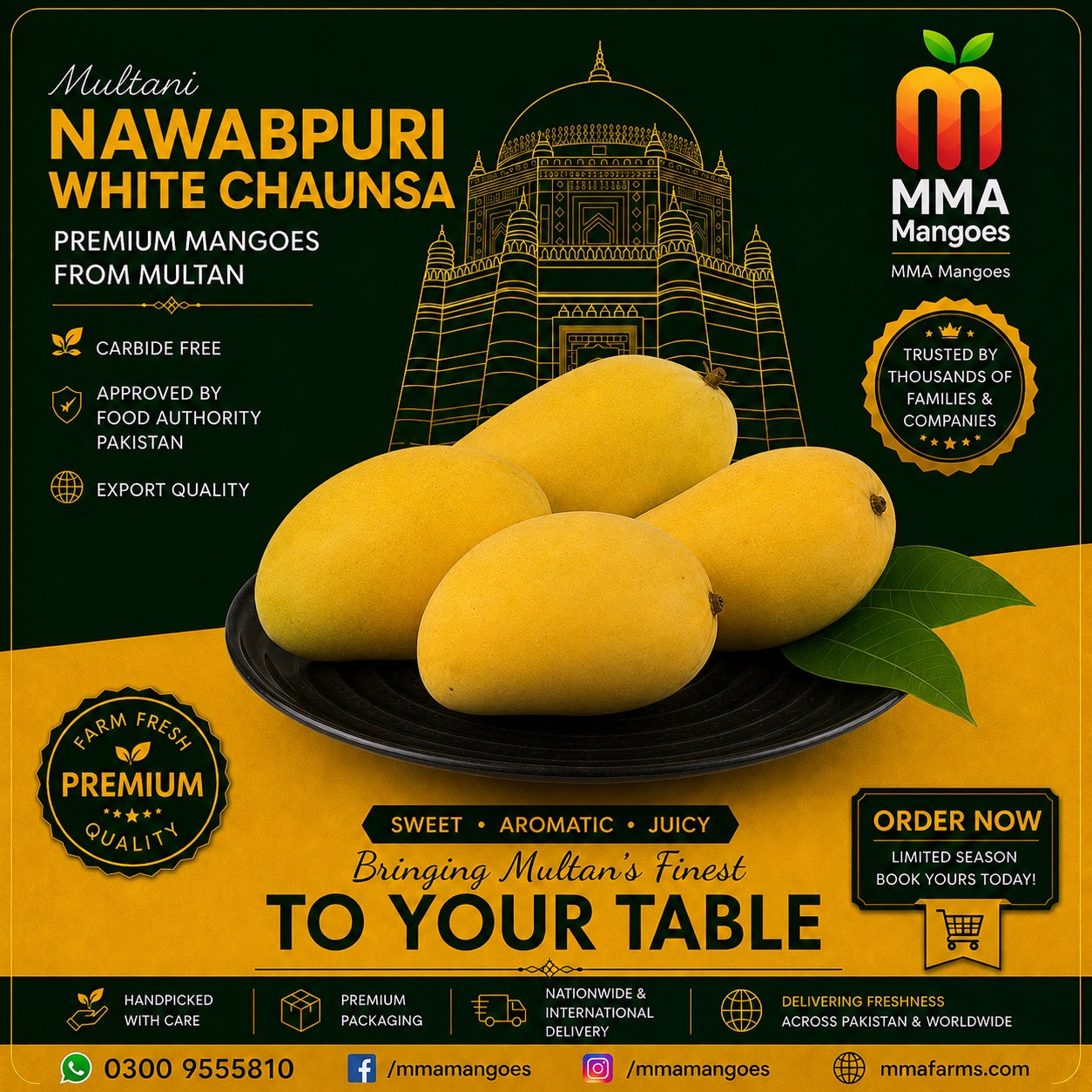 Official MMA Farms premium mango gift box with carbide-free mangoes from Multan